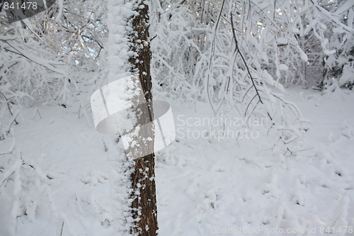 Image of Season of winter.
