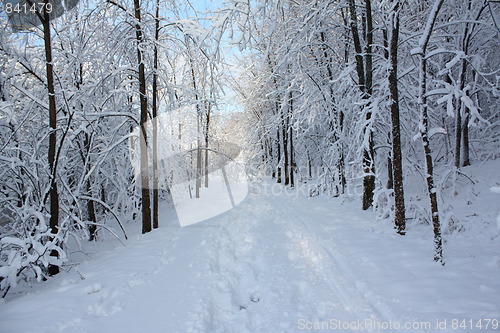 Image of Season of winter.
