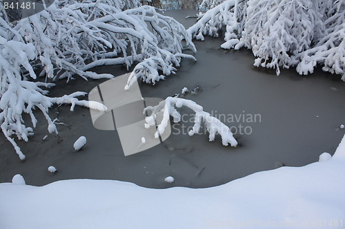 Image of Season of winter.