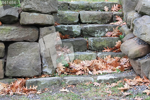 Image of Autumn.