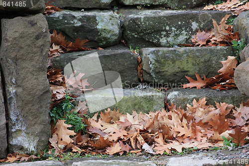 Image of Autumn steps.
