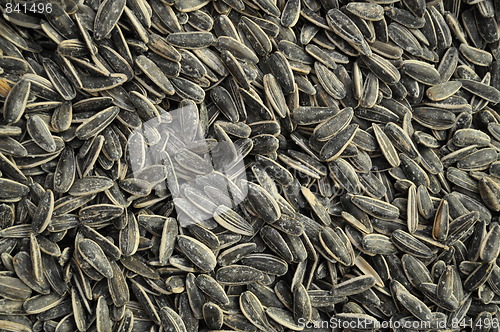 Image of roasted sunflower seeds 