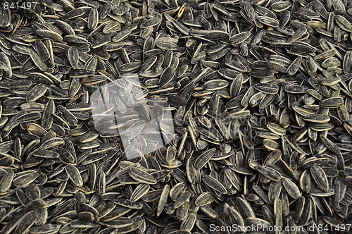 Image of roasted sunflower seeds