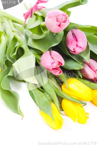 Image of Bunch of flowers