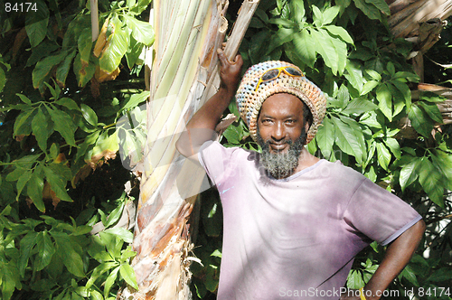 Image of smiling rasta man 853