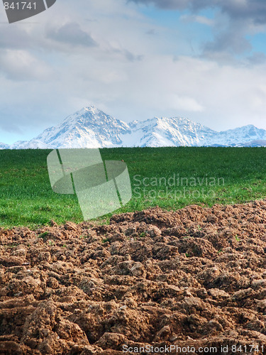 Image of Agricultural landscape