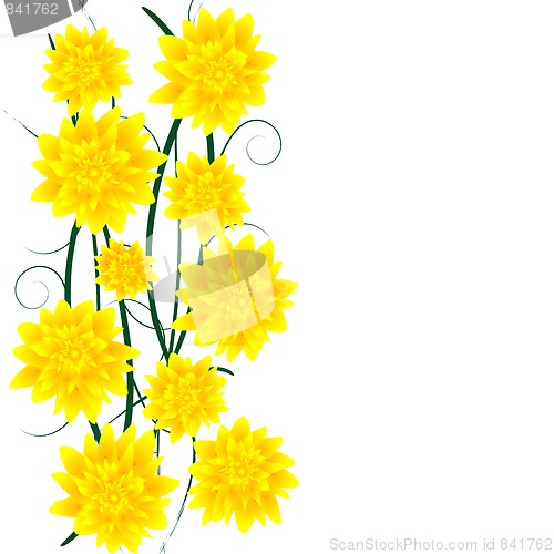 Image of Border