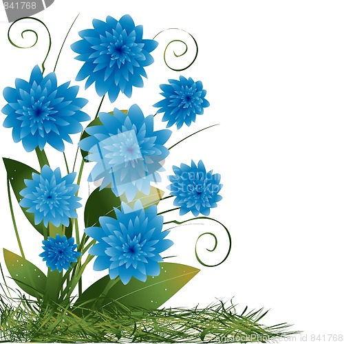 Image of Blue flowers 