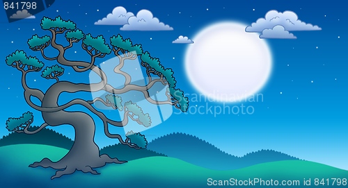 Image of Night landscape with old pine tree