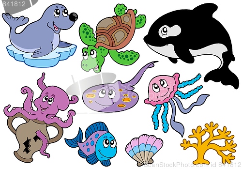 Image of Marine fishes and animals collection