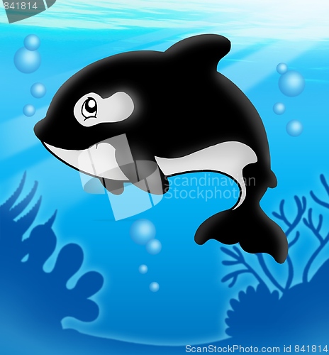 Image of Cartoon killer whale in sea