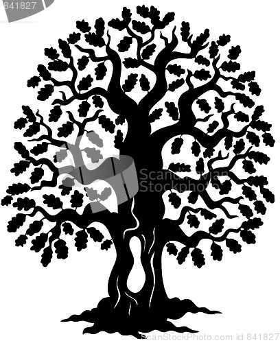 Image of Oak tree silhouette