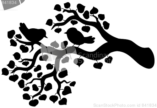 Image of Silhouette of branch with birds