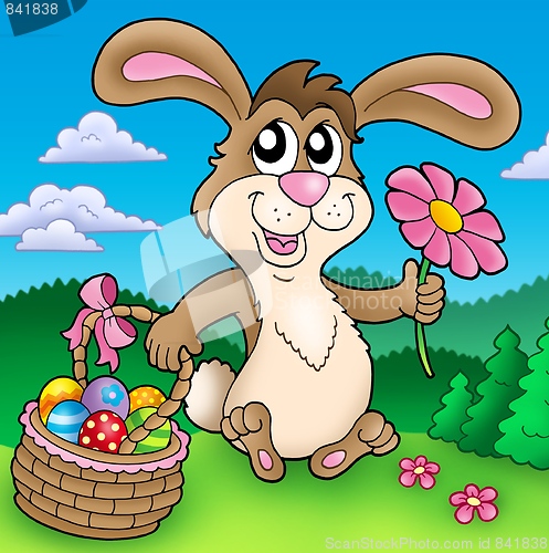 Image of Cute Easter bunny on meadow