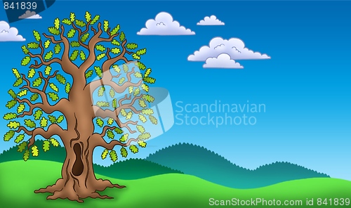 Image of Landscape with oak tree