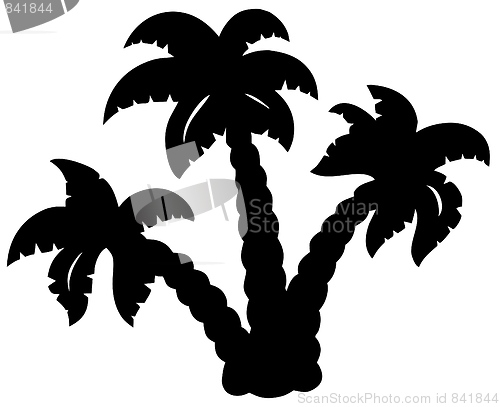 Image of Palm trees silhouette