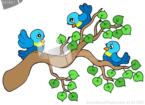 Image of Three small birds sitting on branch