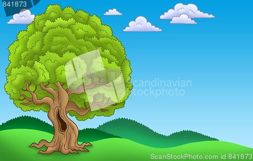 Image of Landscape with big leafy tree