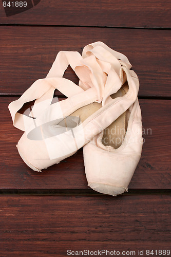 Image of Ballet Shoes