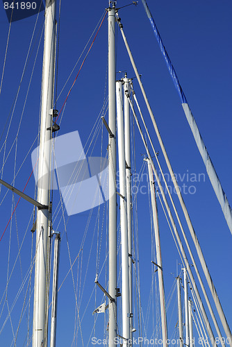 Image of Tall masts