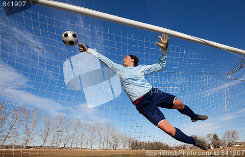 Image of Goalie
