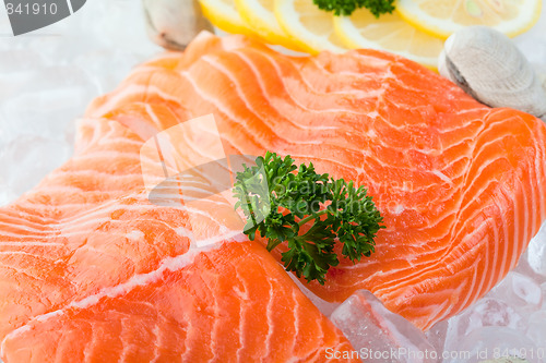 Image of Salmon on ice