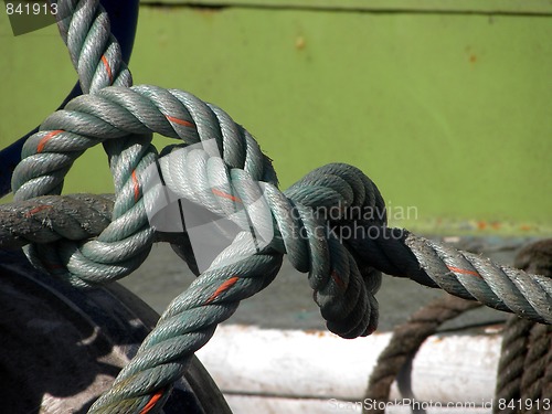 Image of Sailor Knot