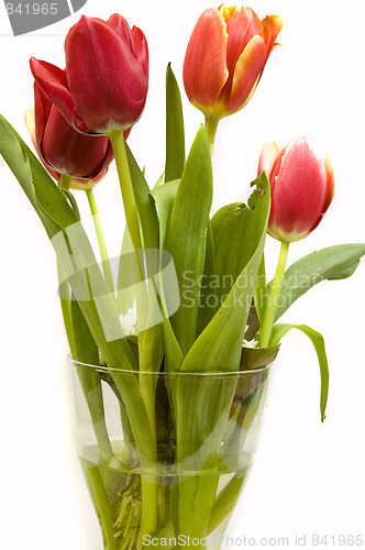 Image of tulips bouquet
