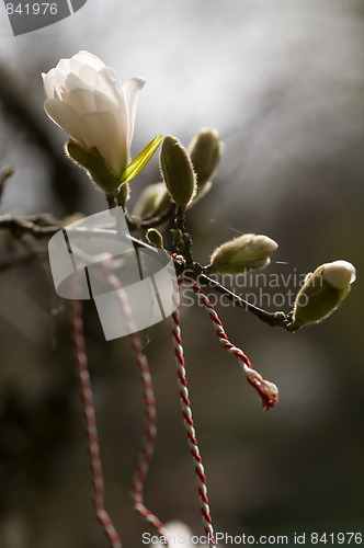 Image of european spring tradition