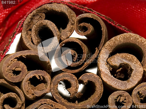 Image of macro cinnamon