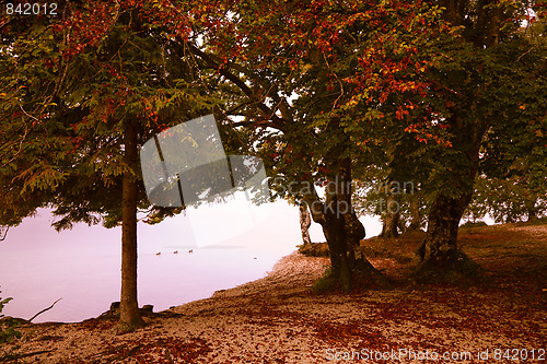 Image of Autumn Lake Bohinj