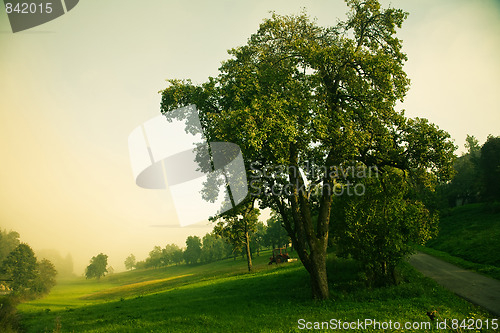 Image of Misty September morning