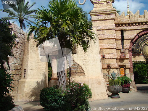 Image of Palm trees.