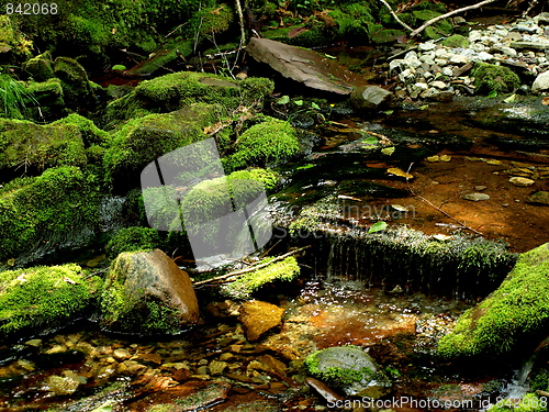 Image of Waterfall