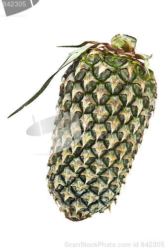 Image of Single whole pineapple