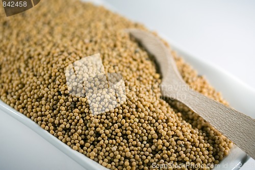 Image of mustard seeds