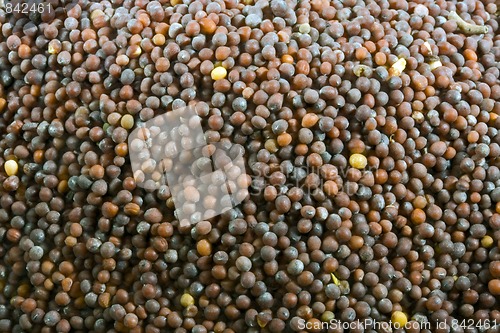 Image of mustard seeds