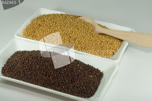 Image of mustard seeds