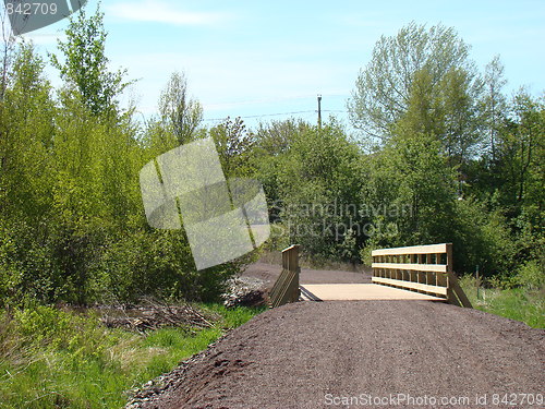 Image of The nature of summer.
