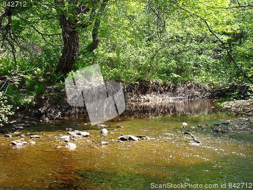 Image of The nature of nature.