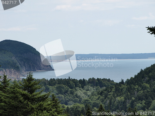 Image of The nature of summer.