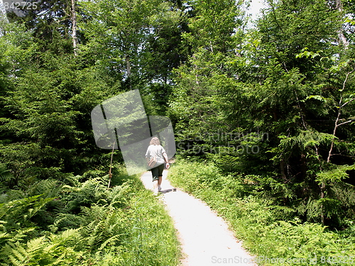 Image of Nature trail.