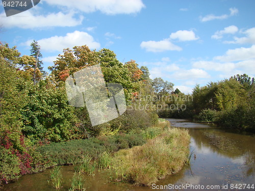 Image of Nature of the forest.