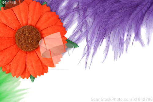 Image of Feathers and Flower