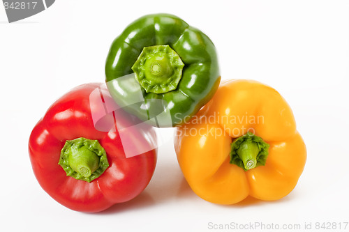 Image of colored paprika
