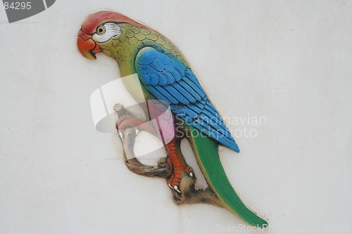 Image of Parrot