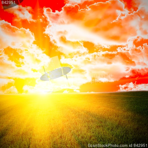 Image of nature