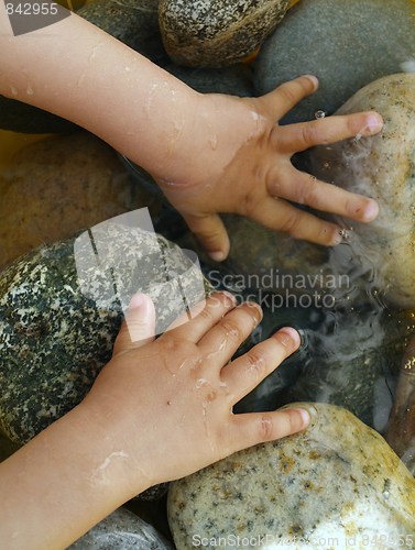 Image of hands in the water