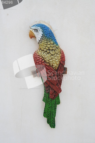 Image of Parrot