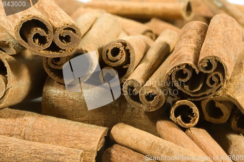 Image of cinnamon